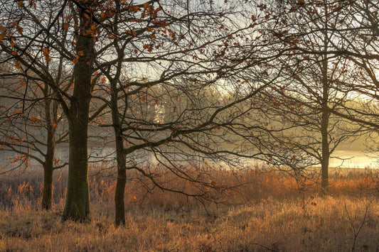 Blickling