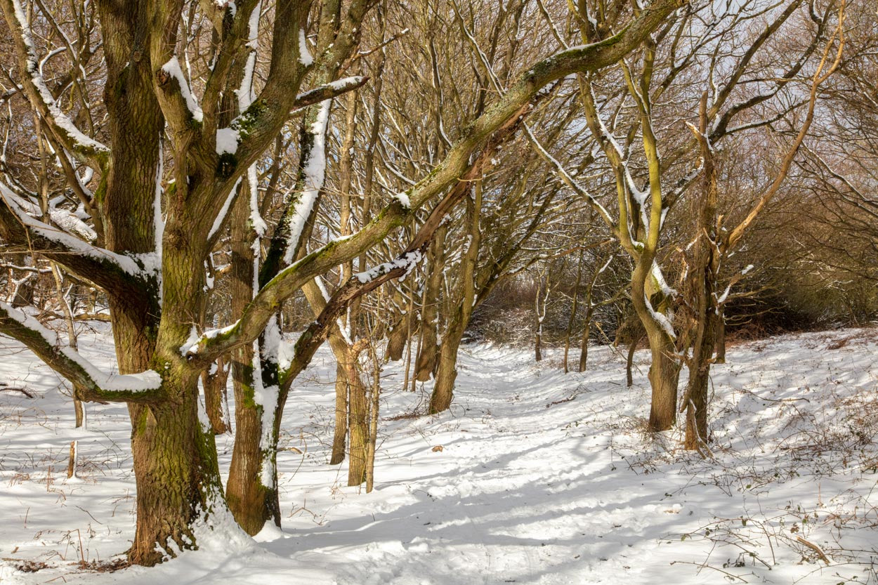 Weybourne