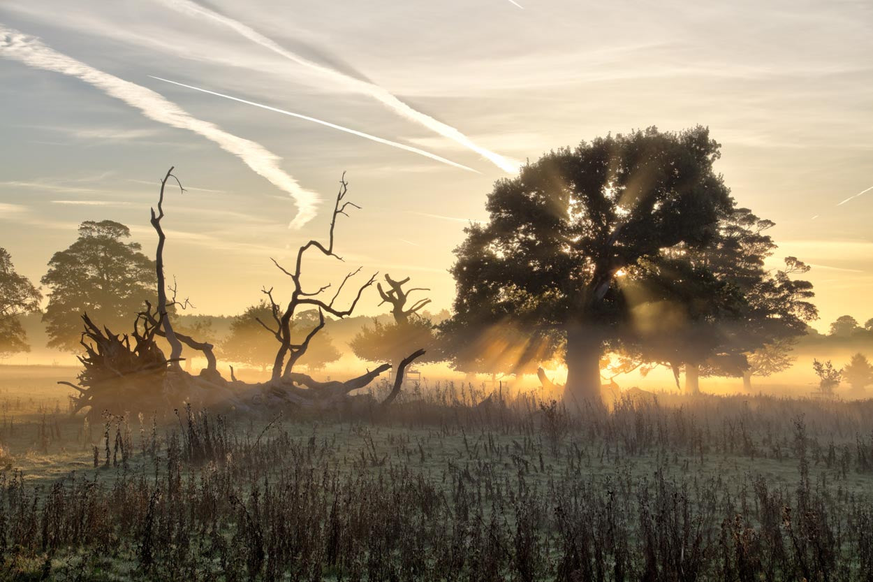 Felbrigg