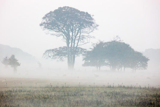 Felbrigg