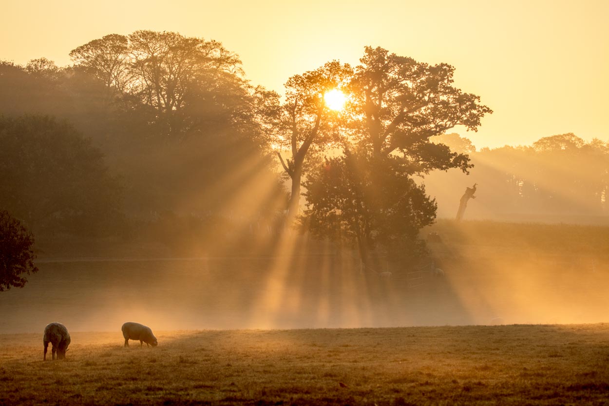 Felbrigg