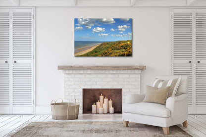 Panoramic view of the Cromer coastline from the cliffs with gorse and sandy beach