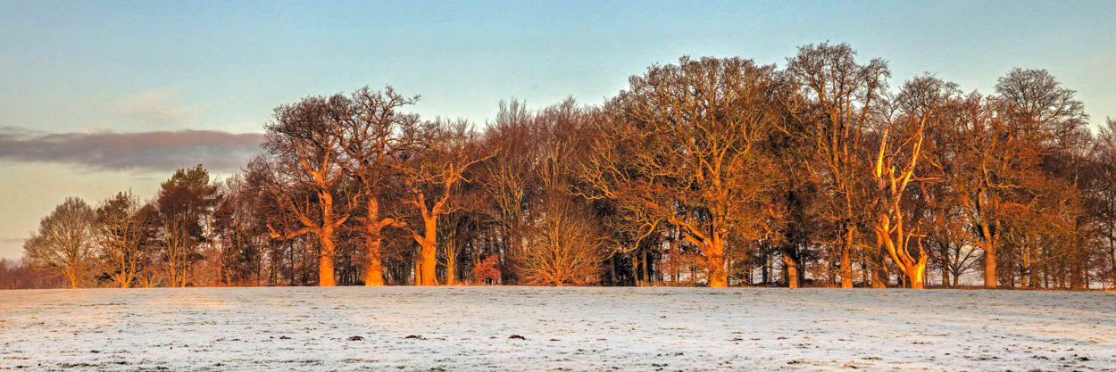 Blickling