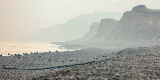 Weybourne