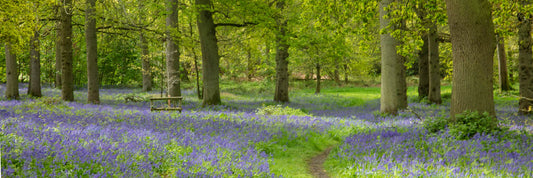 Blickling