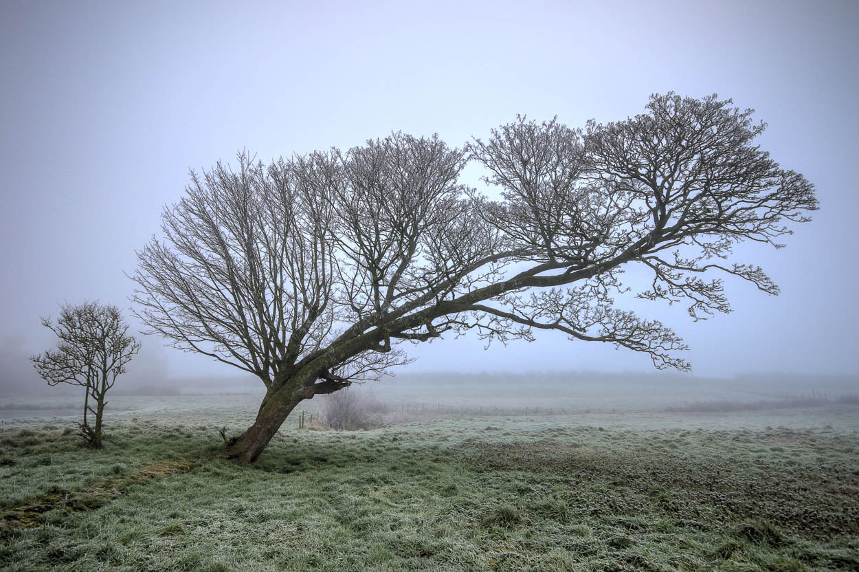 Baconsthorpe