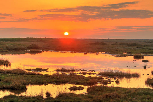 Blakeney