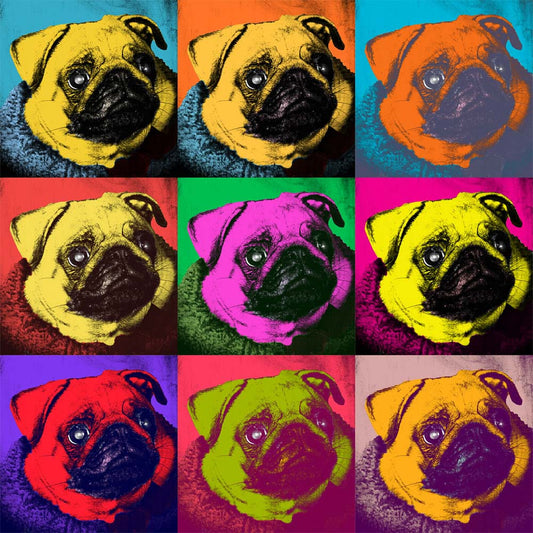 Pop Art Pug