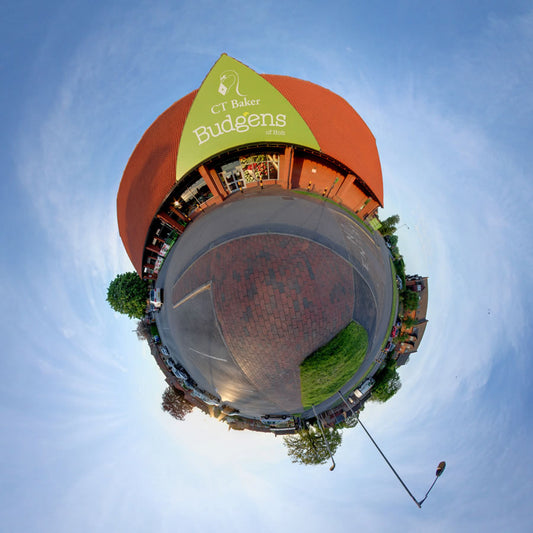 Holt Little Planet