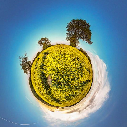 Holt Little Planet