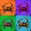 Pop Art Crabs