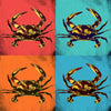 Pop Art Crabs