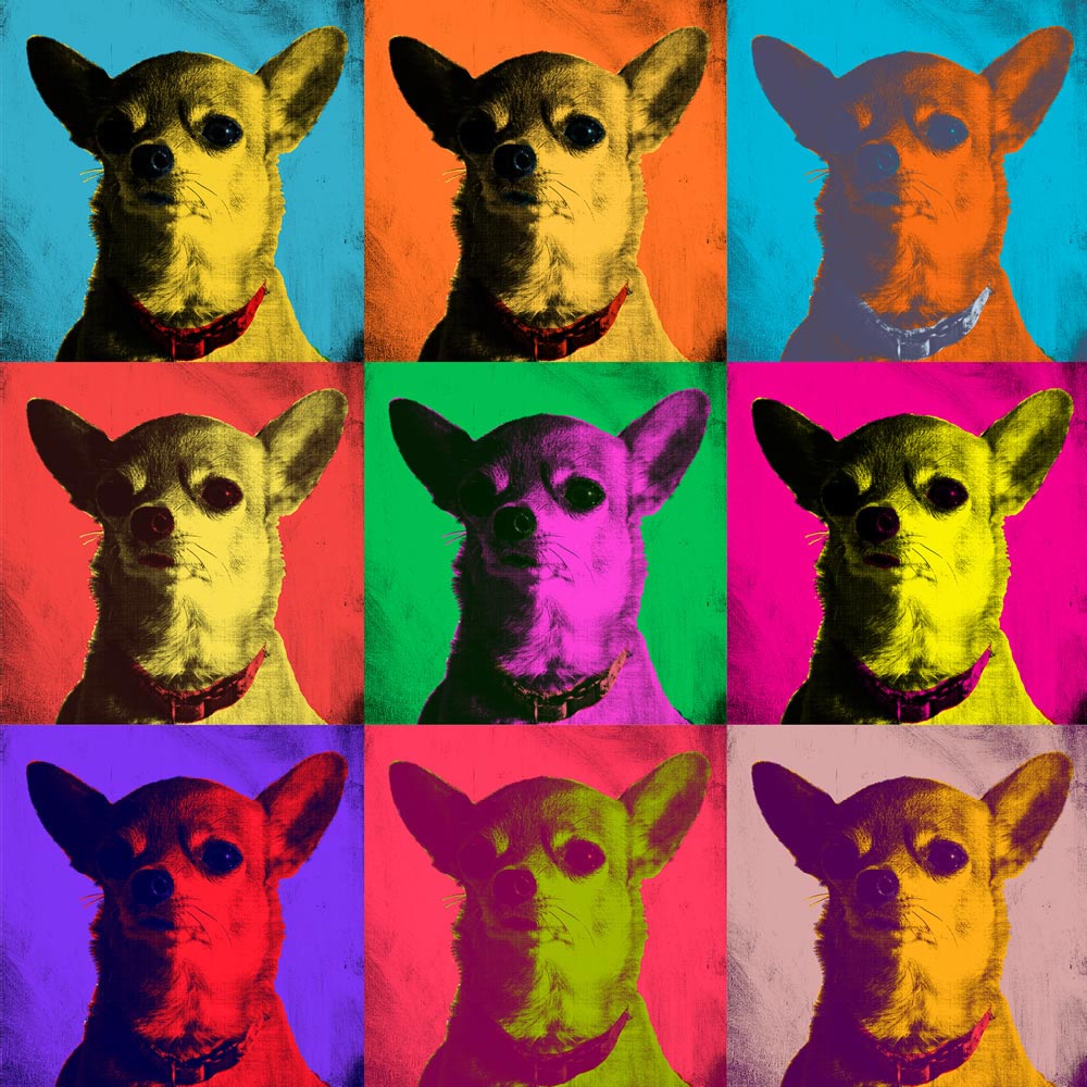 Pop Art Chihuahua